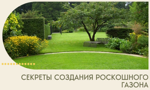 Секреты создания роскошного газона в Ханты-Мансийске